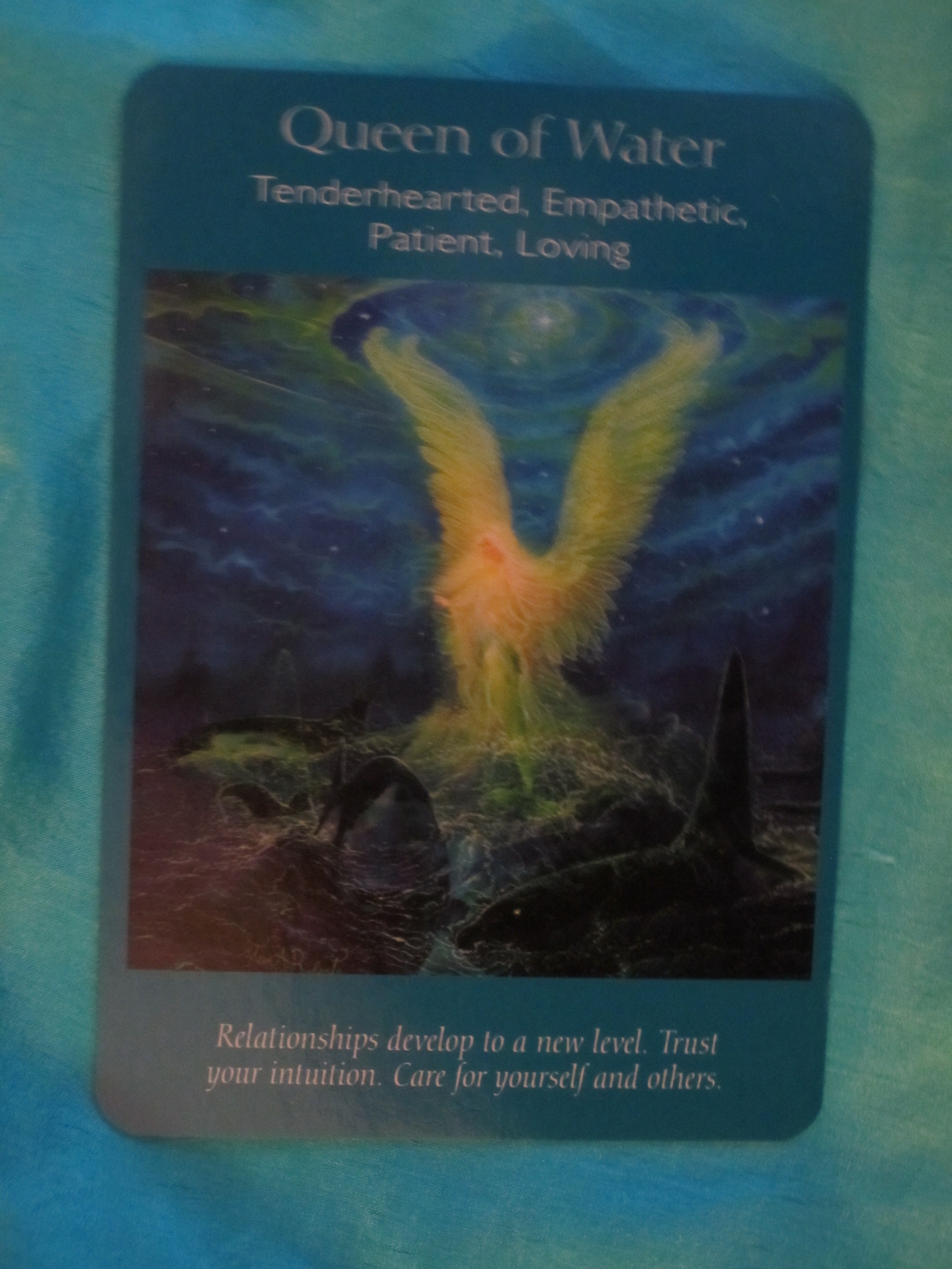 The Oracle Speaks 25 Nov Horoscope Reveals Your Hidden Truths - vy4m78r