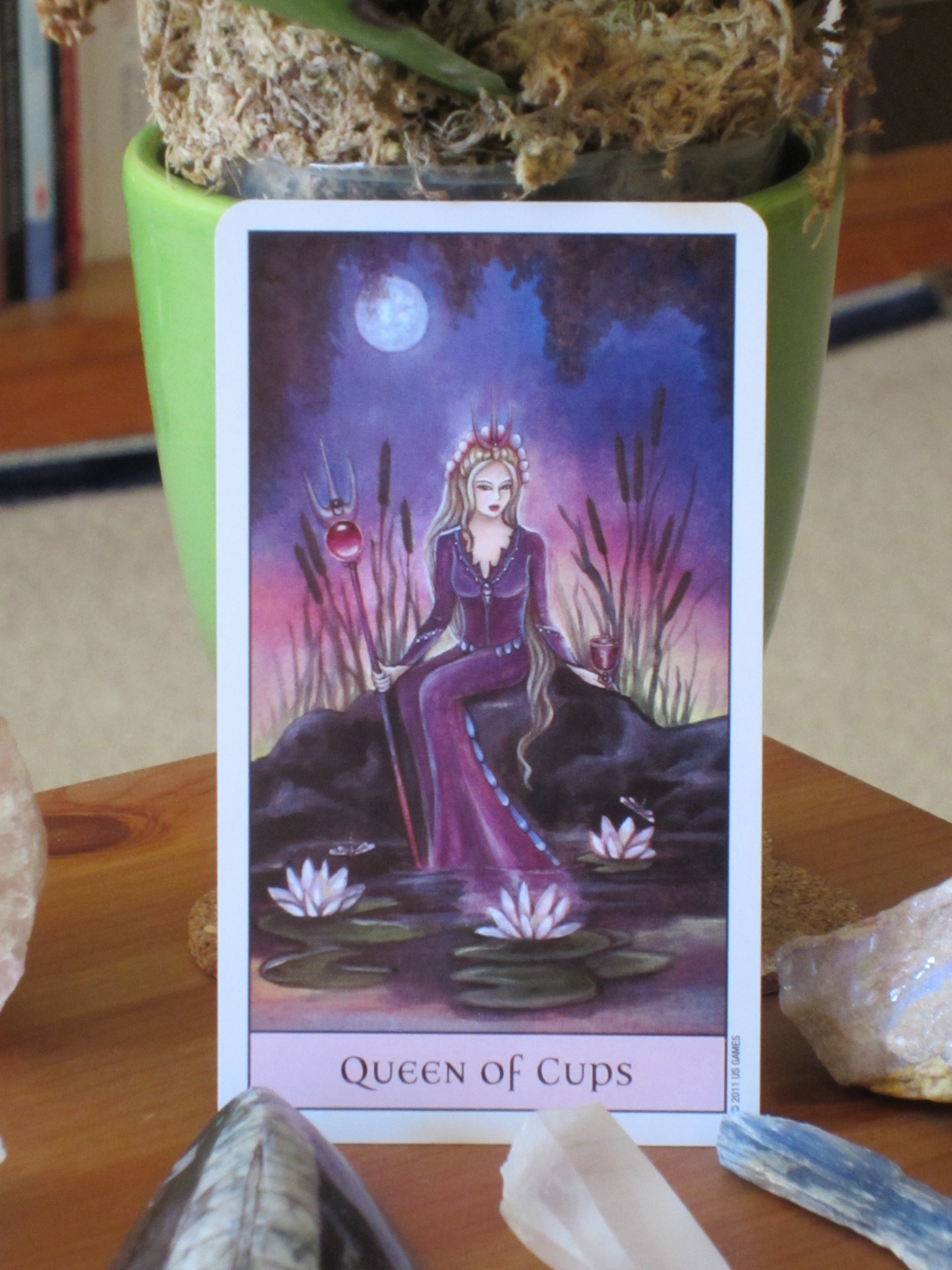 Queen of Cups Tarot Card Reading for Friday! Daily Tarot Girl