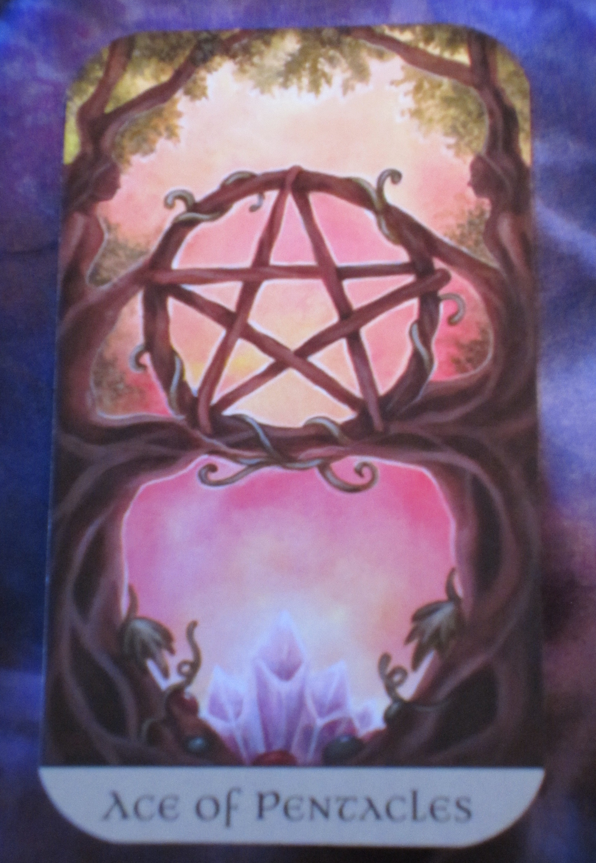 Ace of Pentacles Tarot Card for Monday Daily Tarot Girl