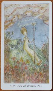 paulina tarot ace of wands...