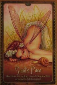 wild wisdom of the faery oracle snails pace