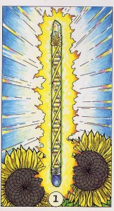 Ace of wands tarot card ace of wands robin wood
