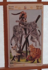 five of wands tarot card